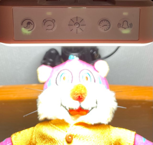 トトノエライト点灯状態