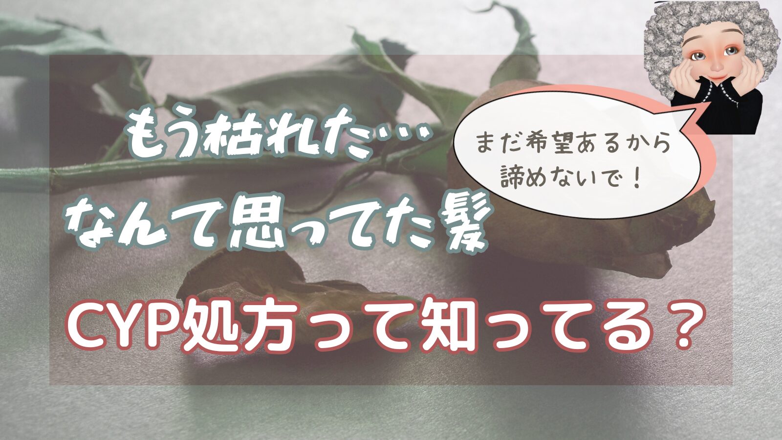CYP処方とは？女性の薄毛サプリに欠かせない理由
