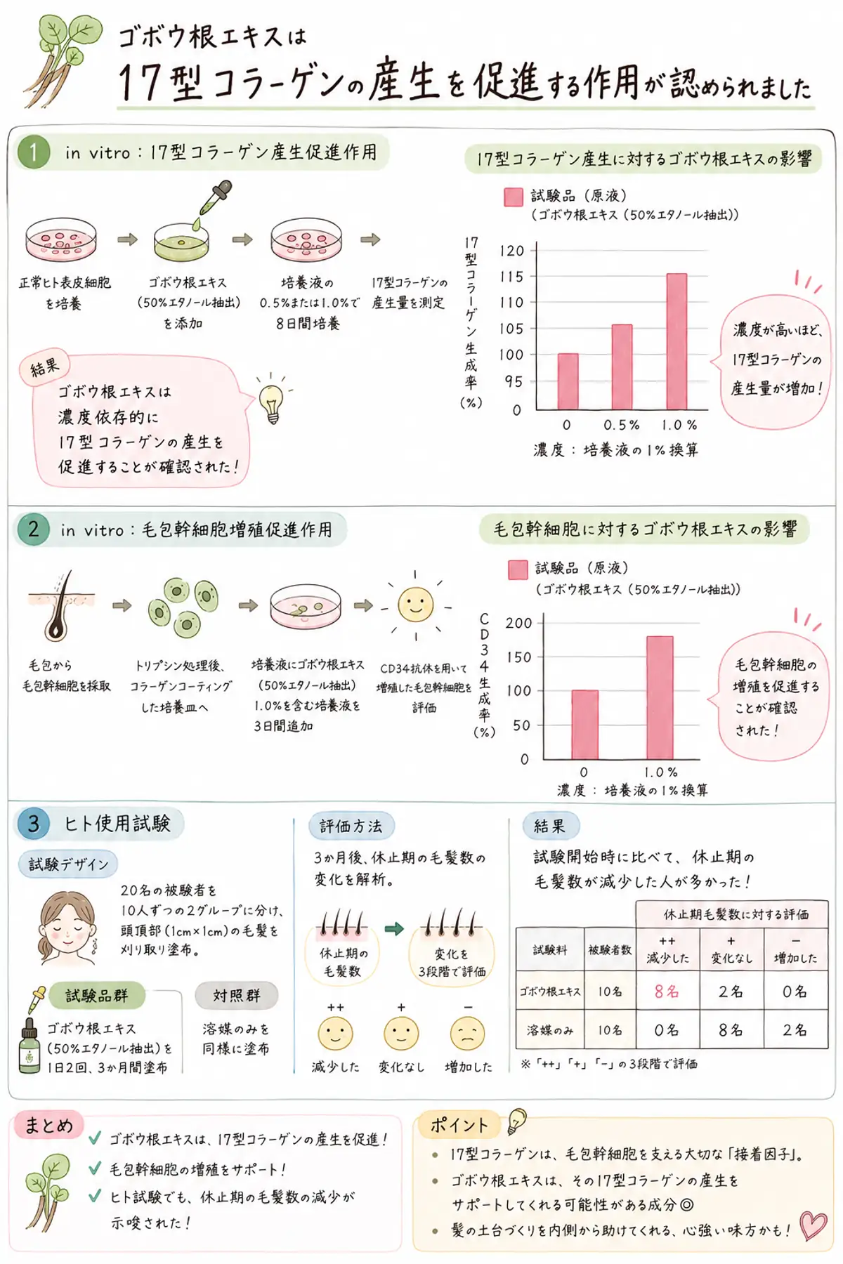 17型コラーゲンを増やして維持する方法