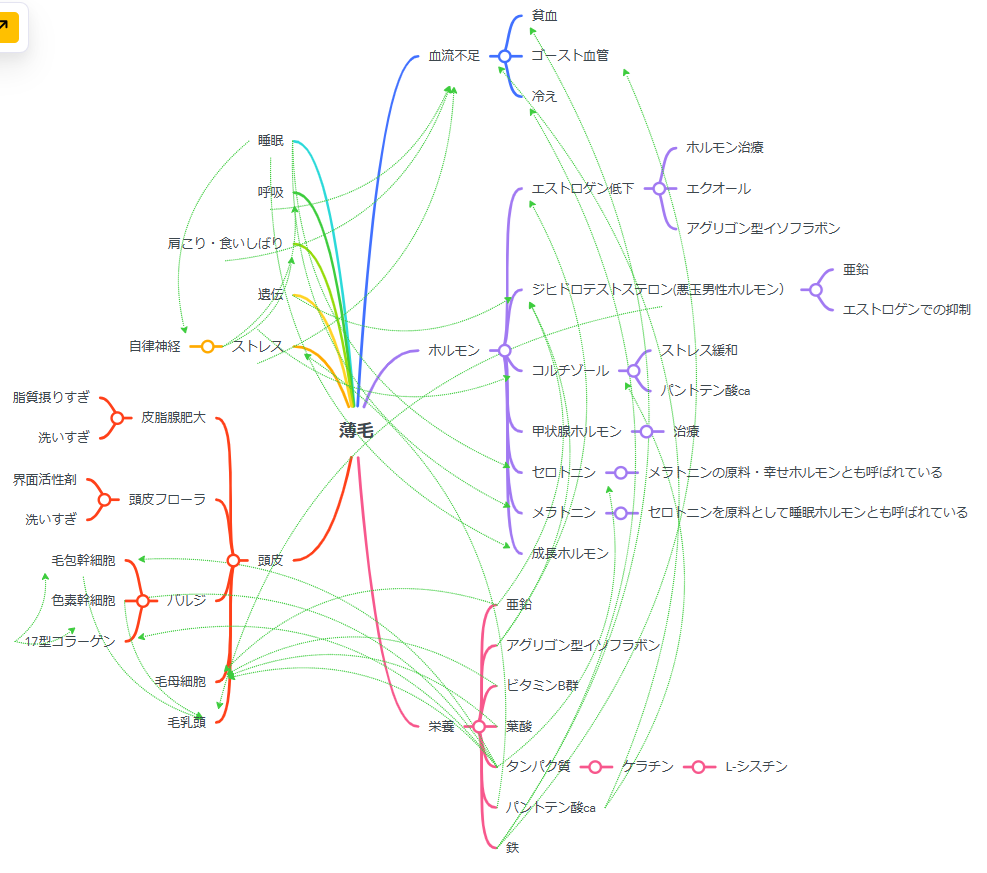 薄毛の主な要因